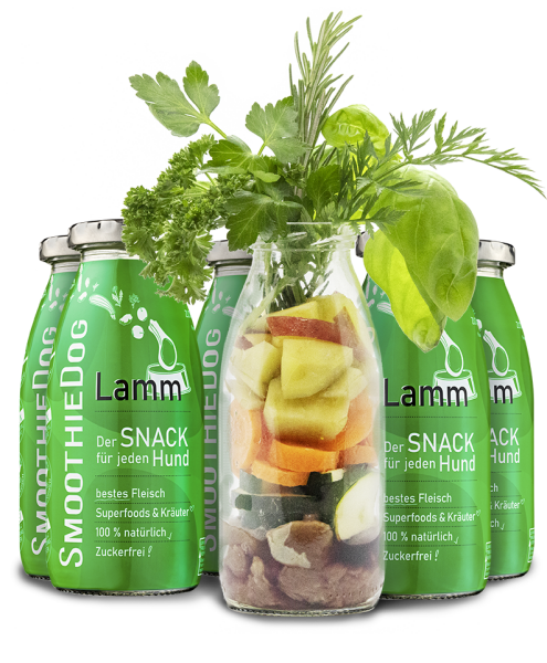 Smoothie Lamm