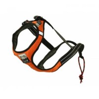 Sali Sport Sled Geschirr