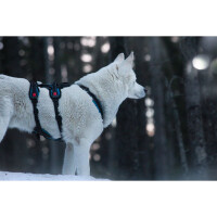 Open Range Harness