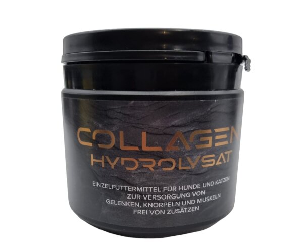 Collagen 250g GS