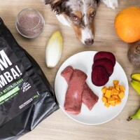 TALES & TAILS LammBa Zamba! - Hundefutter mit Lamm -...